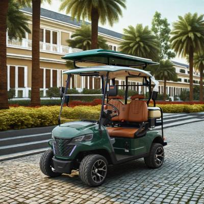 China Front Disc Rear Drum Brake System Electric Golf Cart for Wedding Resort Hotel HM Mini for sale