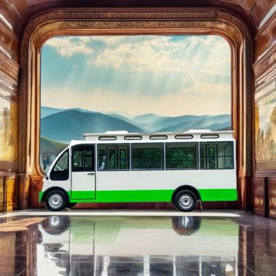 China CE Certified High Power AC Controller Energy Mini Bus Tourist Shuttle Bus Sightseeing Bus for sale