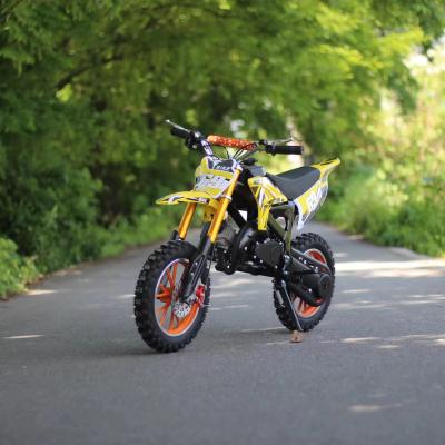 China Max speed 30KM/H Dirt Bike Hot Mini Off-Road Vehicle for Street Legal Motorcycle for sale