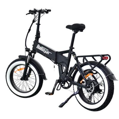 China Steel Rim Material Fat Tire Electric Bike with Li-Ion Battery and 20 Inch Wheel Size for sale