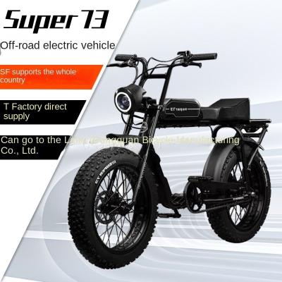 China 1720*350*920mm Retro Electric Bike S1 National Standard Rear Hub Motor Off-Road Mobility for sale