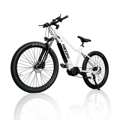 China Electric Bike Fat Tire E-bike Electric Bicycle EU USA Adult Fatbike Warehouse Ready Stock for sale