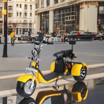 China High Loading Capacity 200Kg 1500W 12AH/20AH Double Seat Citycoco Tricycles for Adult for sale