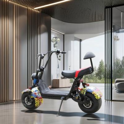 China Foldable Citycoco Fat Tire Scooter 800W Motor Power Steel Frame Mini Scooter for Kids for sale