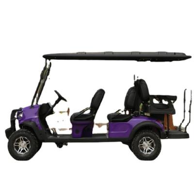 China Equipped Standing Postion of Tail Caddie 3620*1250*1850 Golf Cart Rear View Mirror for sale