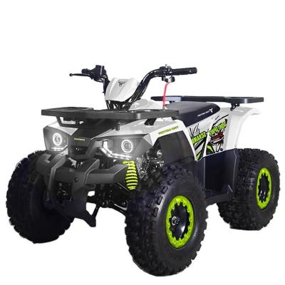 China Automático 125cc Farm ATV con sistema de transmisión de tracción en cadena y gas / combustible diesel en venta