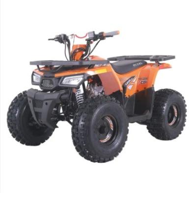 China 240 kg MAX LOAD ATV de transmisión de cadena de cilindro único para aventuras todoterreno para adultos en venta