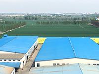 Verified China supplier - Hebei Pingle Flour Machinery Group Co., Ltd.