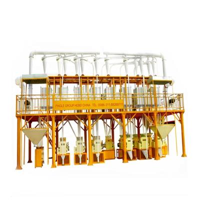 China Factory corn barley grain roller mill for sale for sale