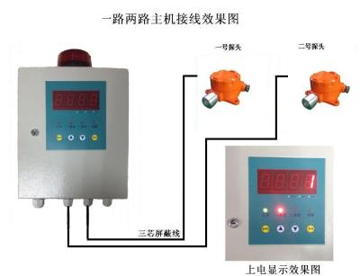 China Analog H2S Gas Detector With Explosion-proof Probe For Factory for sale