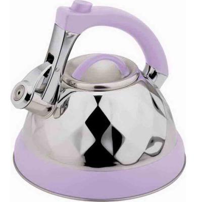 China Sustainable Color Painting 3.0L Stainless Steel Whistling Kettle for sale