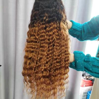 China Silky Straight Wave HQ 360 Lace Wig T Color For Black Women No Hair 100% Indian Shedding Wig for sale