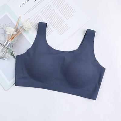 China QUICK DRY Seamless Free Vest Sports Bra Seamless Yoga Sleep Chest Underwear Wire Bra Women Normal Top Polyamide Bralette for sale