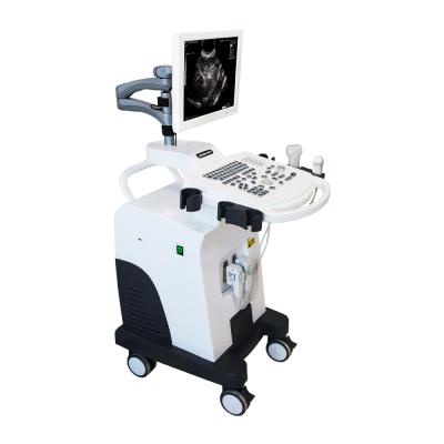 China DAWEI Best Cardiology Function Good Performance Vet Plastic BW Machine Ultrasound Scanner for sale