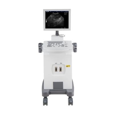 China DAWEI Full Digital Trolley Ultrasound Equipment Veterinary Scanner 740x520x1210mm Reasonable Price for sale