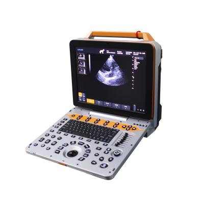 China DAWEI Dog Heart Scan Harmonic Imaging Technique for Puppies Dog Pregnancy Ultrasound 30 Days for sale