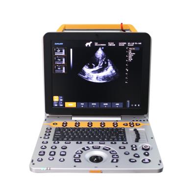 China DAWEI Diagnostic Medical Sonography Cardiographic Sonographer Veterinary Clinic Harmonic Ultrasound Imaging Technique for sale