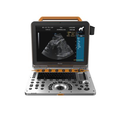 China Dog Abdomen DAWEI Multiple Beam Harmonic High End Portable Veterinary Color Imaging Technique System Ultrasound for sale