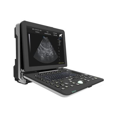 China M Imaging New Launch Portable Freehand Veterinary Color 3D Color Imaging Ultrasound Diagnosis Imagine for sale