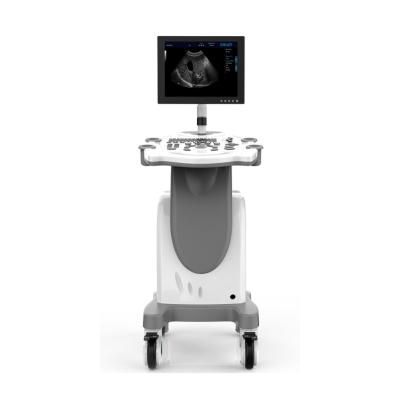 China High Units PC Platform Trolley Full Digital Ultrasound Veterinary Diagnostic System 810*610*960mm for sale