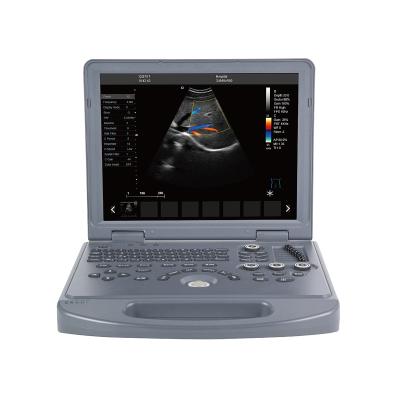 China Animal Health Diagnostic Dawei Portable Color Doppler Kidney Liver Dog Ultrasound Cost For Puppies for sale