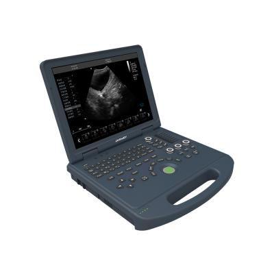 China Animal Health Diagnosis DAWEI Canine Cardiac Abdominal Ultrasound Scanner Color Ultrasound Diagnostic System for sale