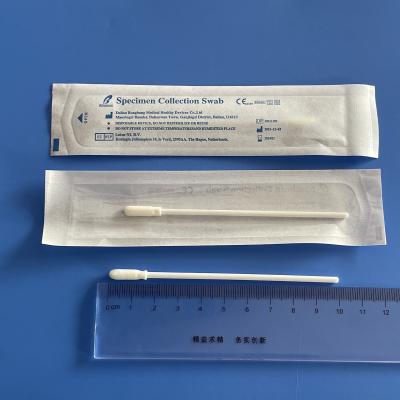 China Sampling RONGBANG MEDICAL Sponge Specimen Collection Sterile Disposable Swab for sale