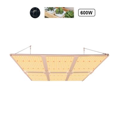 China Seed Seed Plant Indoor High Quality LED Grow Light 600w Full Spectrum Dimmable Grow Lights for sale