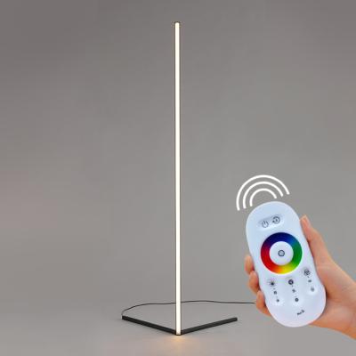 China Multi Effect Detachable Part Standing Light Quick Detachable Easy Fix Colorful Dream RGB Colors RF LED Remote Control Corner Floor Lamps for sale