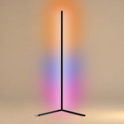 China Multi Effect Dream RGB Colors Detachable Remote Control LED Controller Touchscreen Corner Floor Lamp RF Standing Light 56 ​​Inches for sale