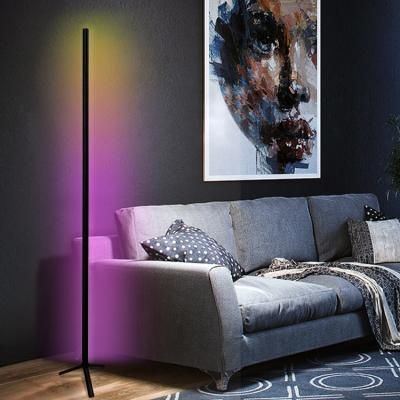 China Modern Art Decorative LED Floor Lamp Art Decorative Smart Nordic Tripod Corner Position Floor Lamp Lighting RGB LED Floor Lamp for sale