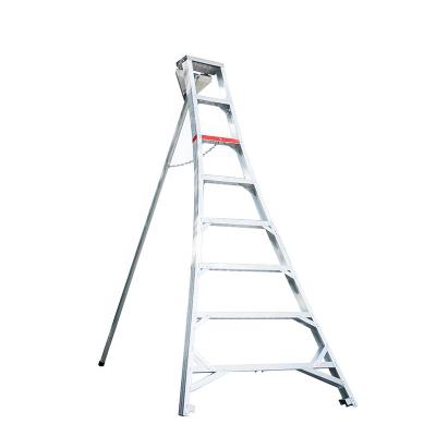 China Folding Ladders Aluminum Tripod Ladders Garden Aluminum Ladder for sale