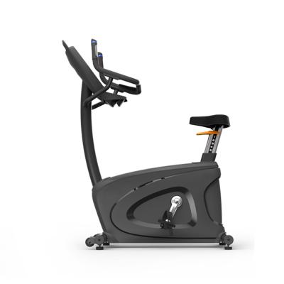 China Commercial use fitness equipment exercise bike for older essential fitness exercise bike for sale