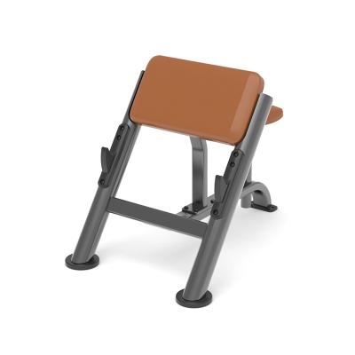 China Modern Free Stand Seated Exercise Scott Bench Loop Bicep Rack Exercise Weight Dumbbell Arm Curl Machine Training Bench for sale