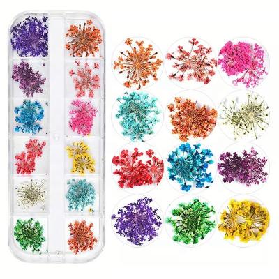 Китай Wholesale 12 Grids Eco-friendly Gel Nail Stickers Decoration Kit Nature Dried Pressed Flower Sunflower Nail Art Decoration продается