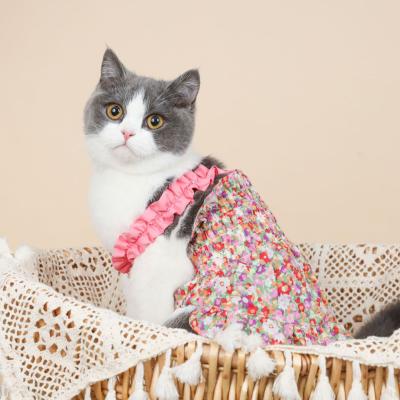 China Korean Stocked Cat Clothes Dress Pet Clothes 2022 Summer Insti Dog Pet Clothes Dress Korean Summer for sale