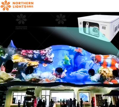 China Outdoor Laser Light Show Machine Animation Show Laser Commercial Lights Projector for sale