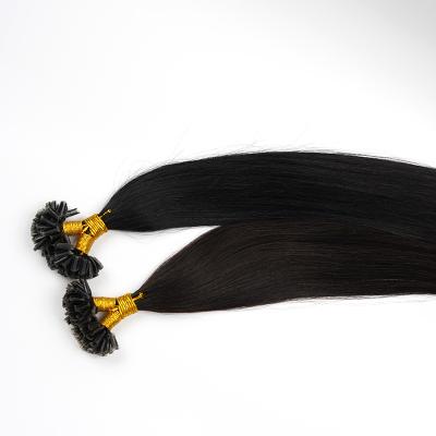 China Ukrainian Curly Natural Brown Curly Baby Hair U Loop Individual Tip Hair Extensions Accessory for sale