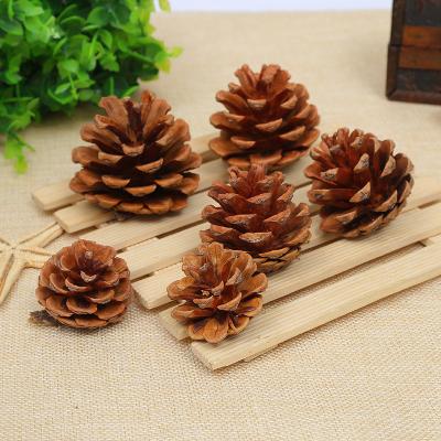 China Promotional Decorations Pendant Christmas Cone Pine Points Exchange Gifts Ornaments Creative Shooting Props Dry Flower Pine Tower Oil Pine Wholesale for sale