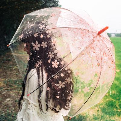 China Wholesale Princess Umbrella Parasol Flower Child Umbrella Japan Sakura CHUVABAND Morden Clear Luxury Clear Dome Shape Umbrella For Girl for sale