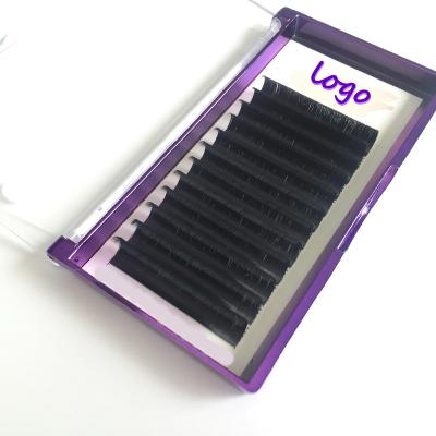 China Long Natural Wholesale Private Label 0.03 0.05 0.07 0.10 Easy Extensions Mink Blooming Volume Lashes Fan Eyelash Easy Fanning Silk Extension for sale