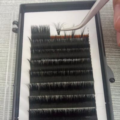 China Mega Only Fan Lash Extension Natural Smart Easy Volume Thick Automatic Lashes Blooming One Second for sale