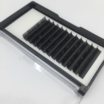 China Wholesale full volume matte eyelashes seller ellipse flat lashes soft eyelash extension private label with logo is available for sale