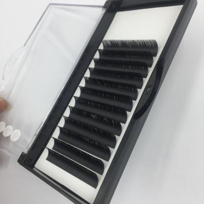 China Wholesale Volume Wholesale Matte Flat Ellipse 0.20 False Eyelash Extension For Sale Private Label With Logo Is Available for sale