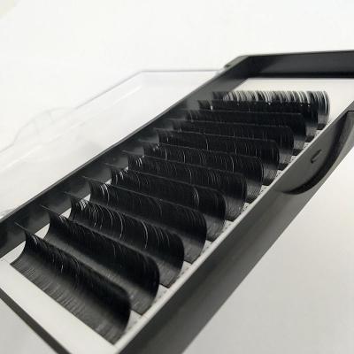 China Thick Ellipse Flat Lash In Different Thickness And Length For Women Makeup for sale