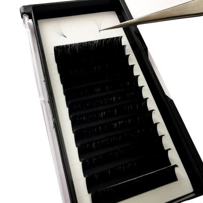 China Mink / Silk Professional Easy Fanning Easy Fanning Lick Extension Supplies for sale