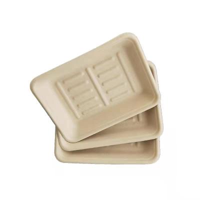 China Biodegradable Food Trays Hot Sales Environmental Friendly Disposable Fresh Food Box Lunch Tray Logo Customizable for sale