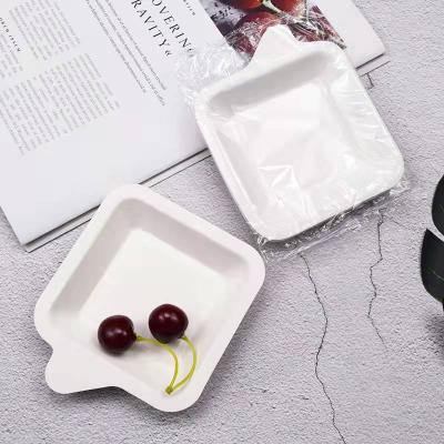 China Fresh Food Custom Environmental Friendly Biodegradable Disposable Tray Tray Plastic Biodegradable Serving Trays for sale