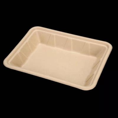 China Disposable Wholesale Biodegradable Cardboard Blister Tray Bagasse Fast Food Tray Cornstarch Custom Meat Tray for sale