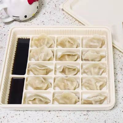 China OEM 100% Biodegradable Environmental Friendly Frozen Dumpling Tray Packaging Tray Food Box With Compartments Eco-friendly for sale